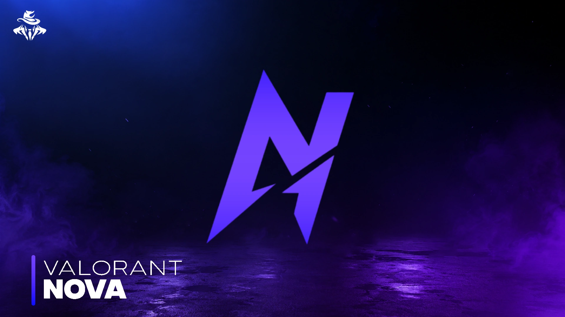 Nova Valorant Software